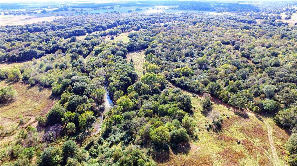 10230 County Road 316, Caldwell, TX 77836