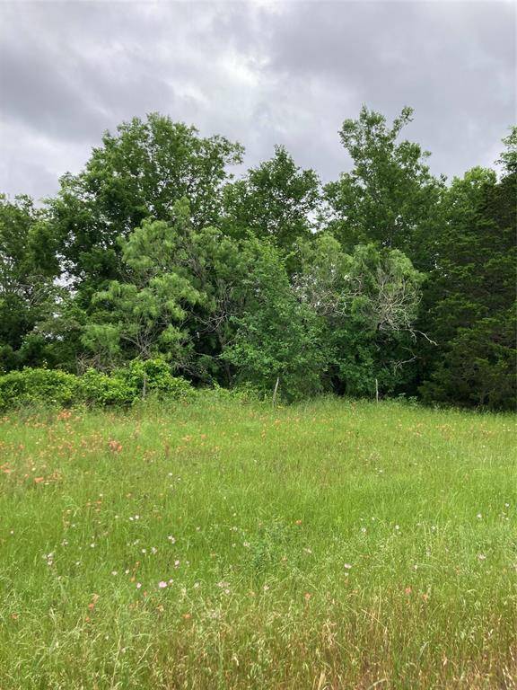 TBD Hwy 304 HWY, Rosanky, TX 78953