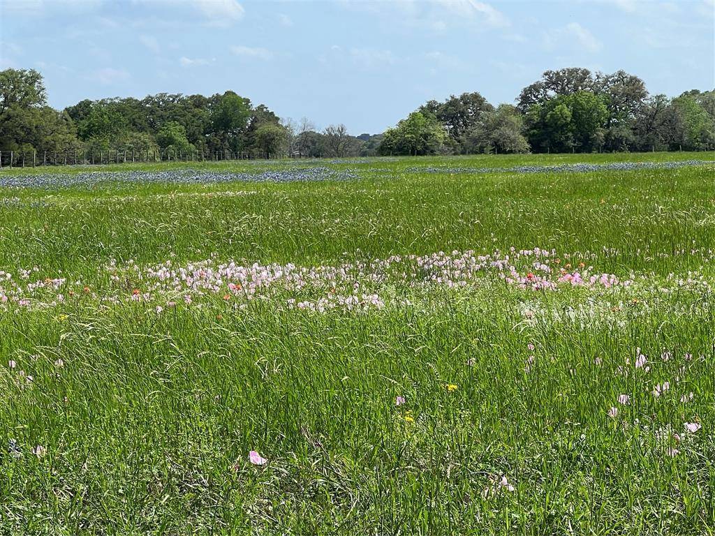 Tract 1 CR 235, Hallettsville, TX 77975