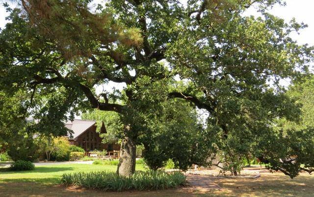10794 FM 2159, Calvert, TX 77837
