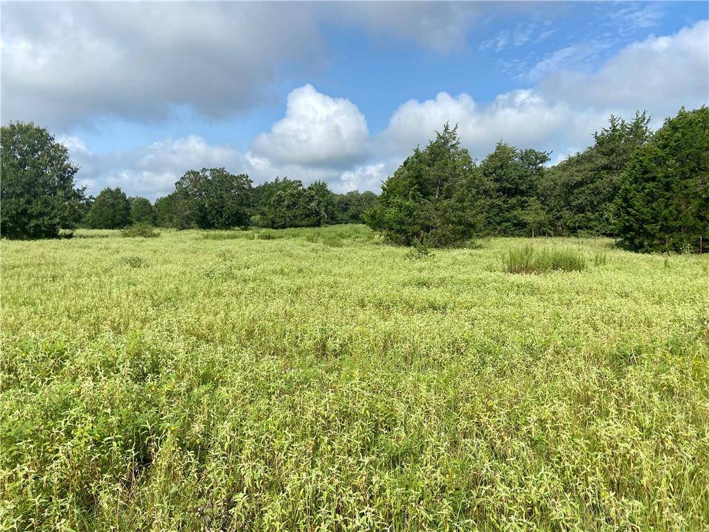 Address not disclosed, Lexington, TX 78947