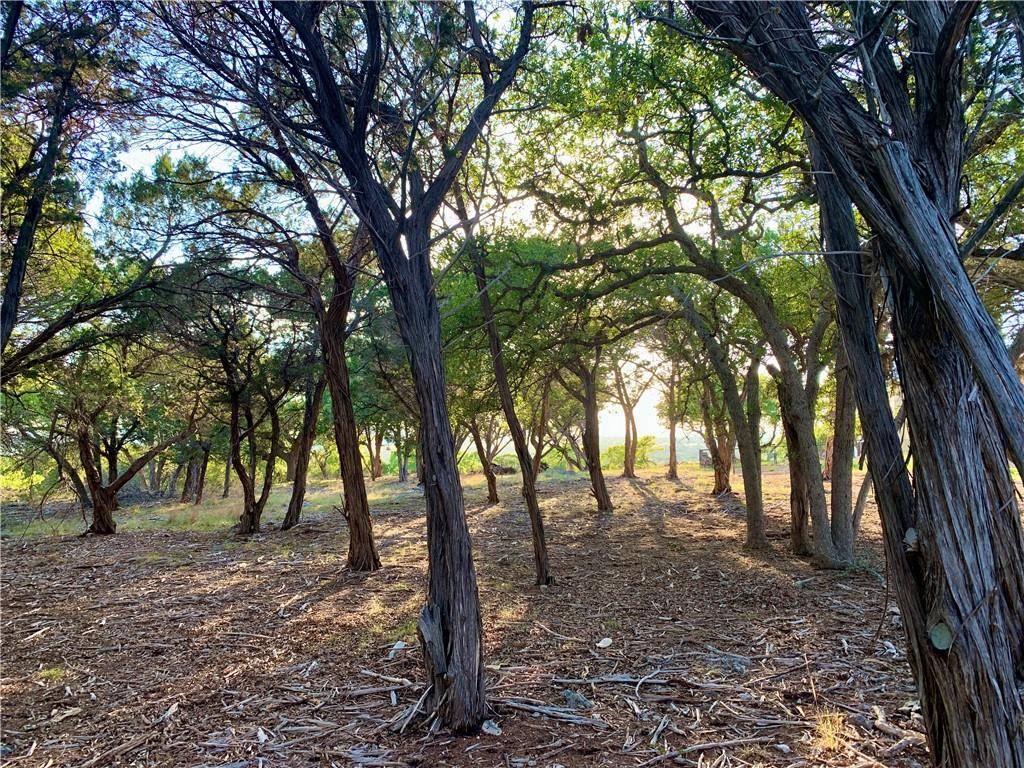 213 Palomino Springs, Bandera, TX 78003