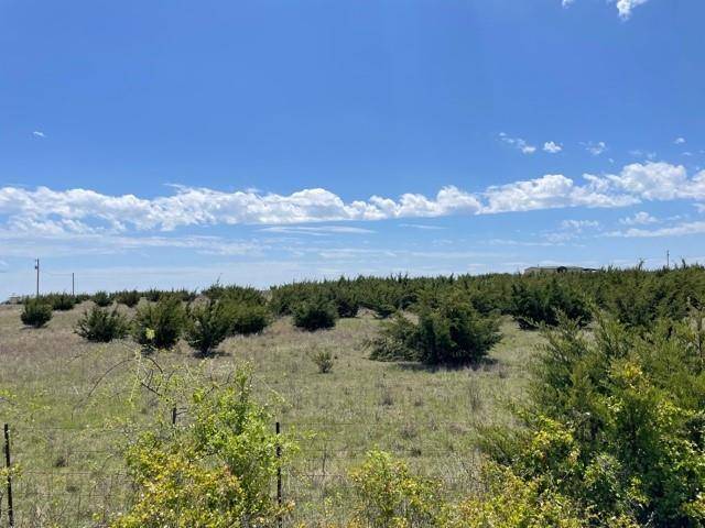 310 Oehler LN, Fredericksburg, TX 78624