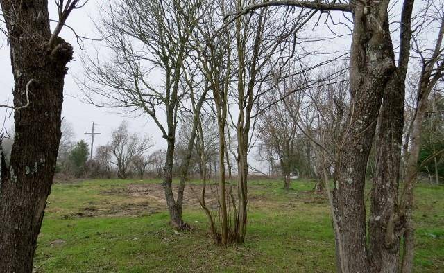 10903 W Henry Prairie RD, Hearne, TX 77859