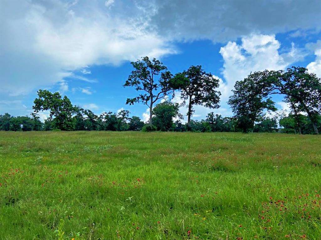 6 Kuykendall RD, Bellville, TX 77418