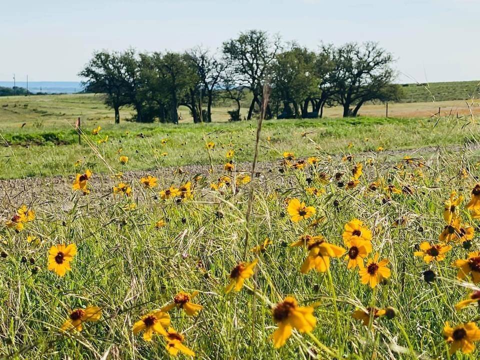 1471 Lutheran Church Rd Ryatt Ranch Lot 1 Blk 1 RD, Copperas Cove, TX 76522