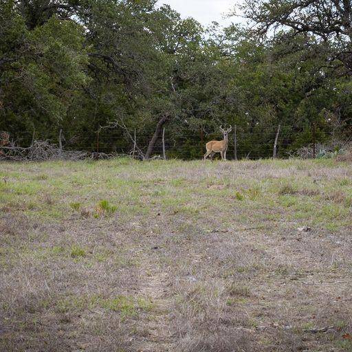 474 Inspiration LOOP, Fredericksburg, TX 78624