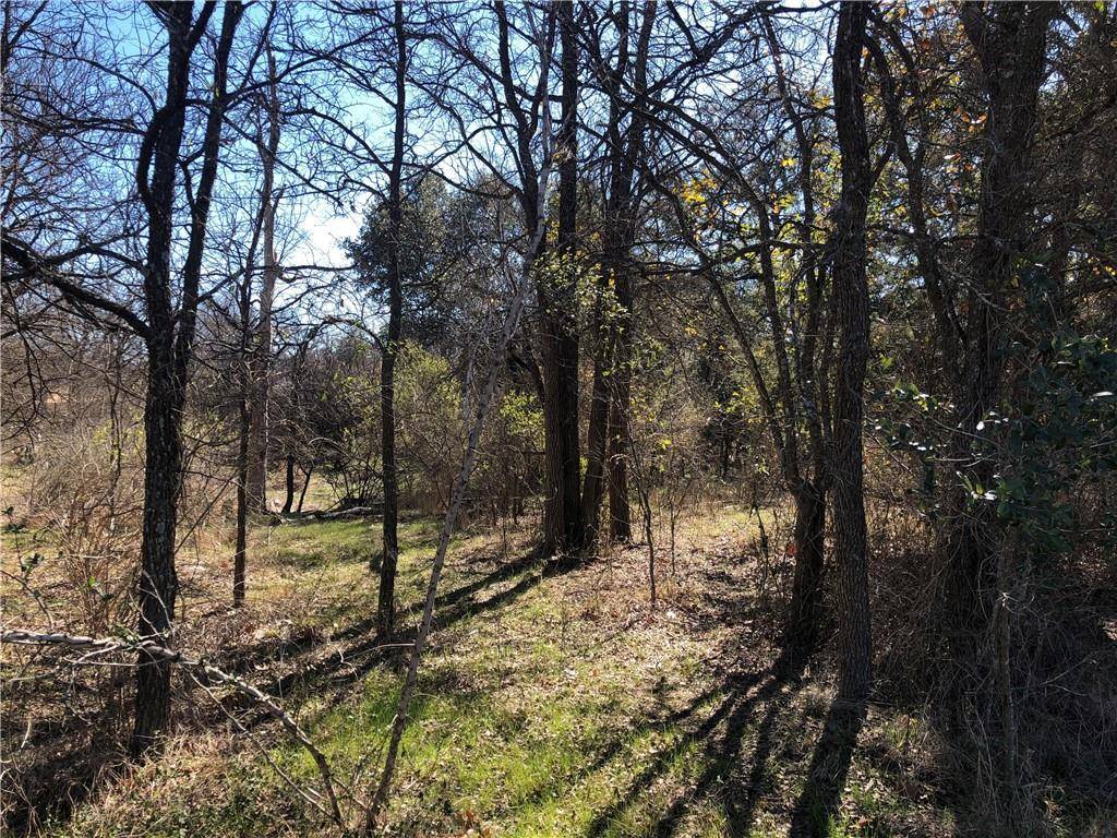 Lot 262,263,264 Elm Creek DR, Marble Falls, TX 78654