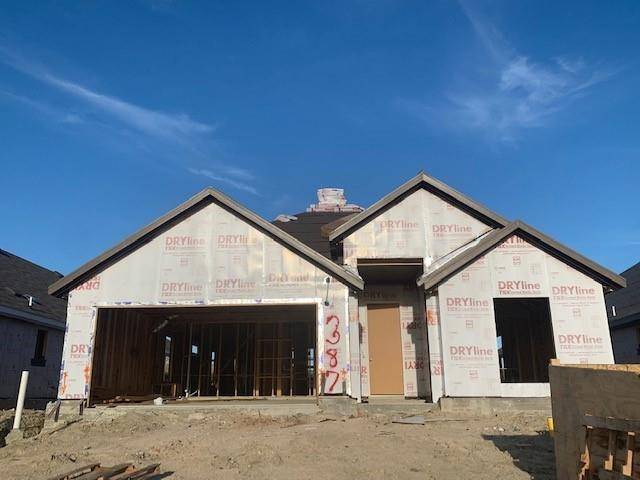 387 Cherrystone LOOP, Buda, TX 78610