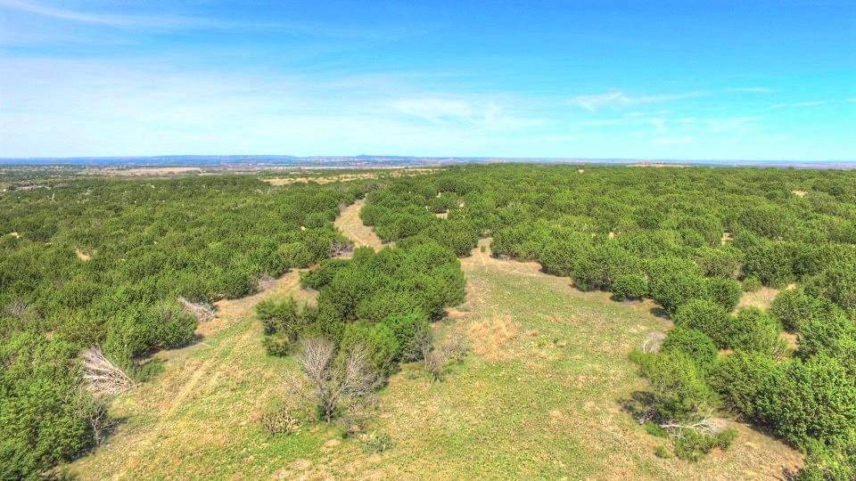 2W Tract 4 CR 2200 HWY, Lometa, TX 76853