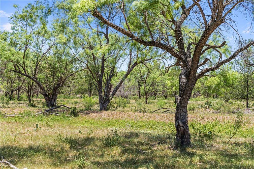 000 County Road 120, Marble Falls, TX 78654