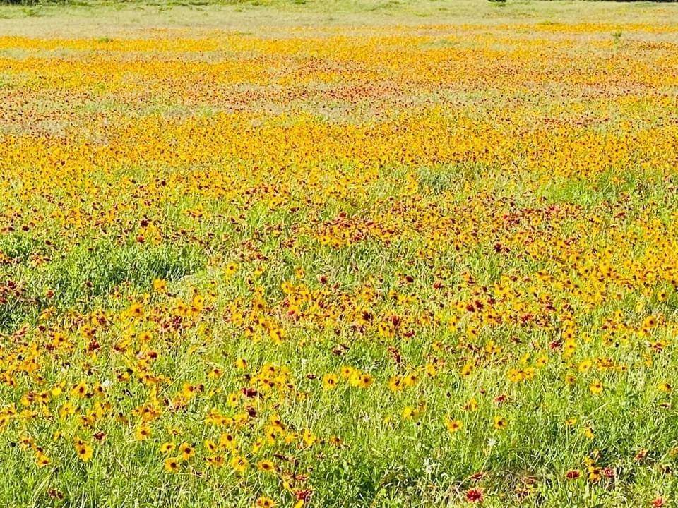 1471 Lutheran Church Road Lot 11 Blk 1 RD, Copperas Cove, TX 76522