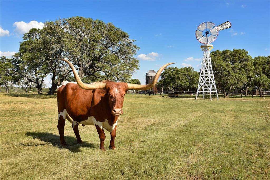236 Doss Springs RD, Fredericksburg, TX 78624