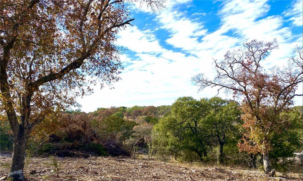 7196 FM 2093 #18, Fredericksburg, TX 78624