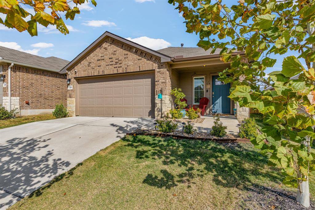 239 Fall Aster DR, Kyle, TX 78640