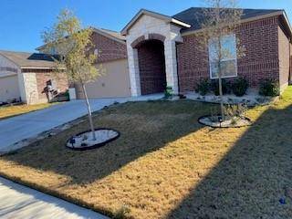 13717 Henry A Wallace LN, Manor, TX 78653