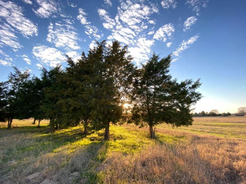 000 CR 107 (TRACT 3), Lincoln, TX 78948