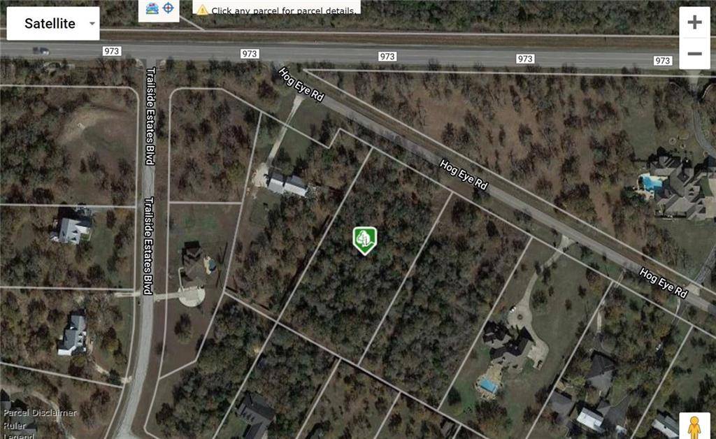 14901 Hog Eye RD, Manor, TX 78653