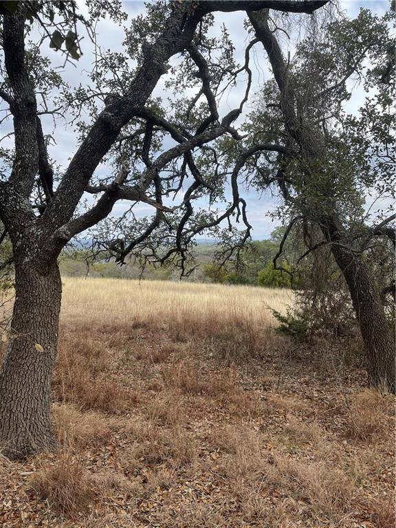 135 Axis CIR, Fredericksburg, TX 78624