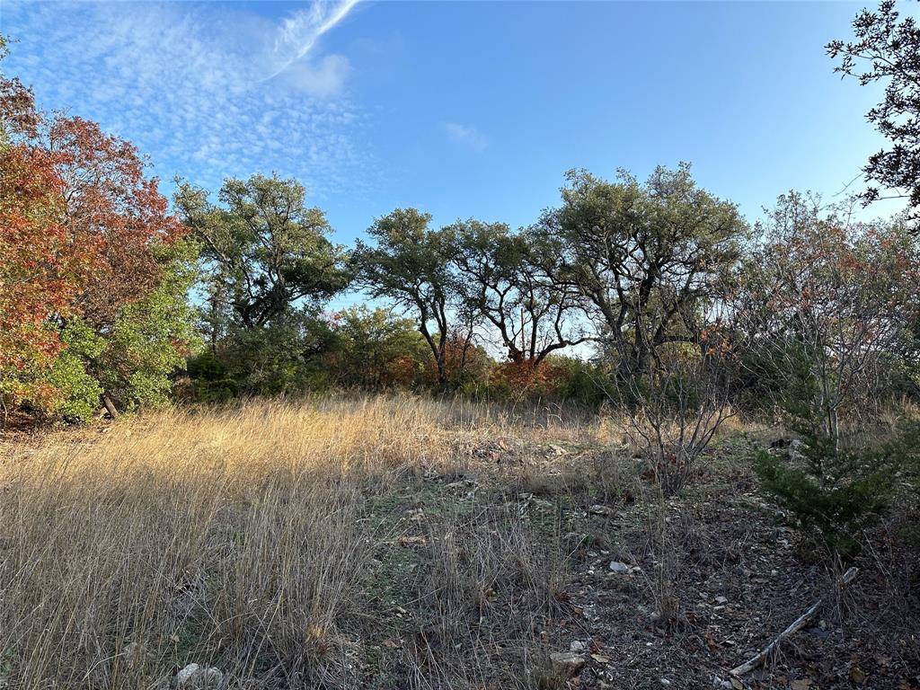 Lot 4 St Hwy 36, Gatesville, TX 76528