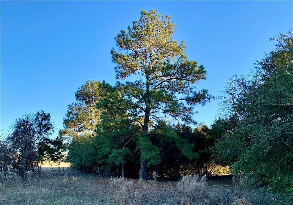 00 CR 107 (TRACT 2), Lincoln, TX 78948