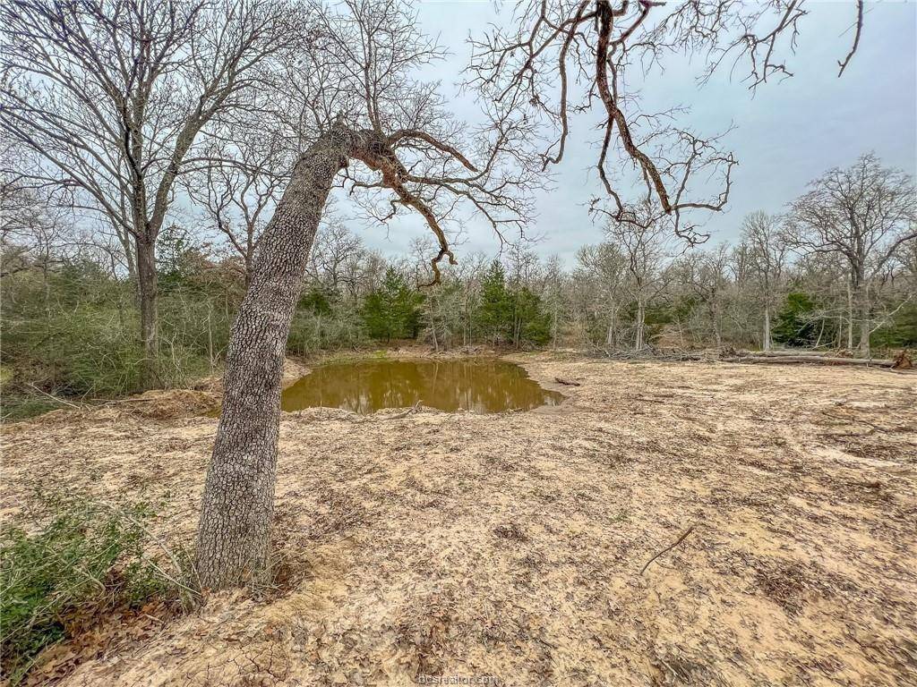 421 Cowboys DR, Somerville, TX 77879