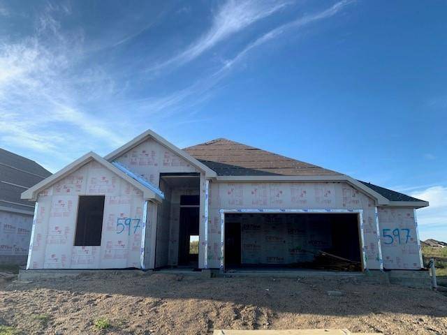 597 Cherrystone LOOP, Buda, TX 78610