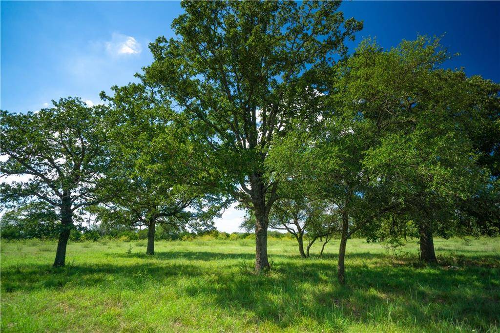1150 Cross Creek RD, Georgetown, TX 78628