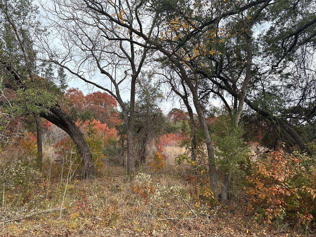 Lot 3 St Hwy 36, Gatesville, TX 76528