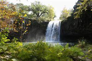 330 Heart Springs RD #D, Dripping Springs, TX 78620