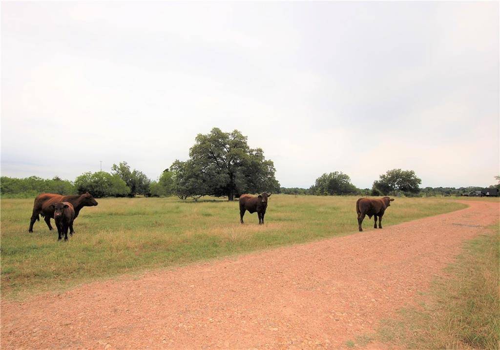1017 Private Road 3262, Giddings, TX 78942