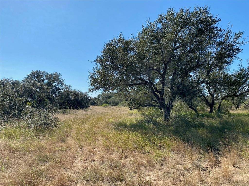 TBD CR 406, Falfurrias, TX 78355