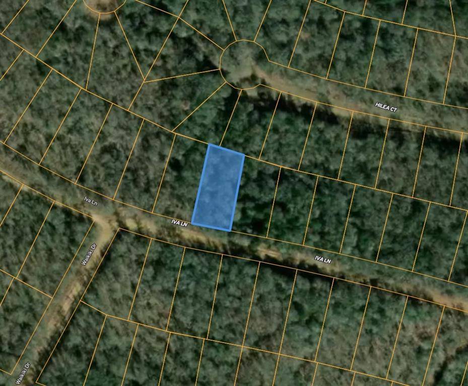 250 Kaaawa LN, Bastrop, TX 78602