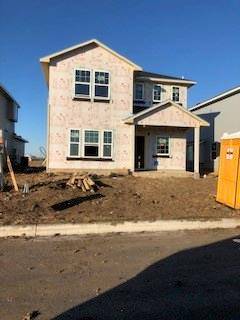 203 Timber Brook, Hutto, TX 78634