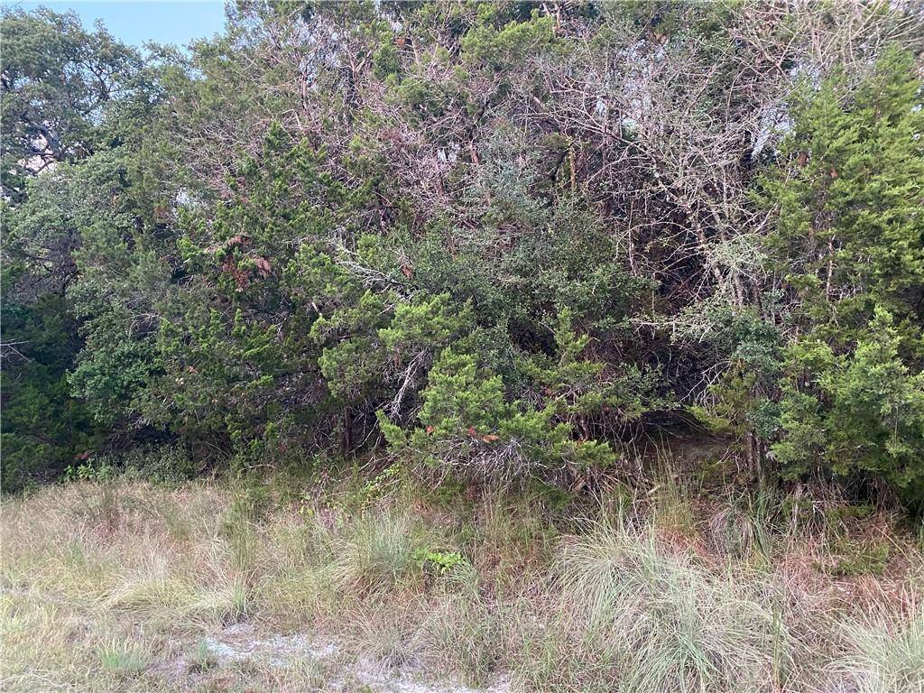 409 Buck Run PASS, Canyon Lake, TX 78133