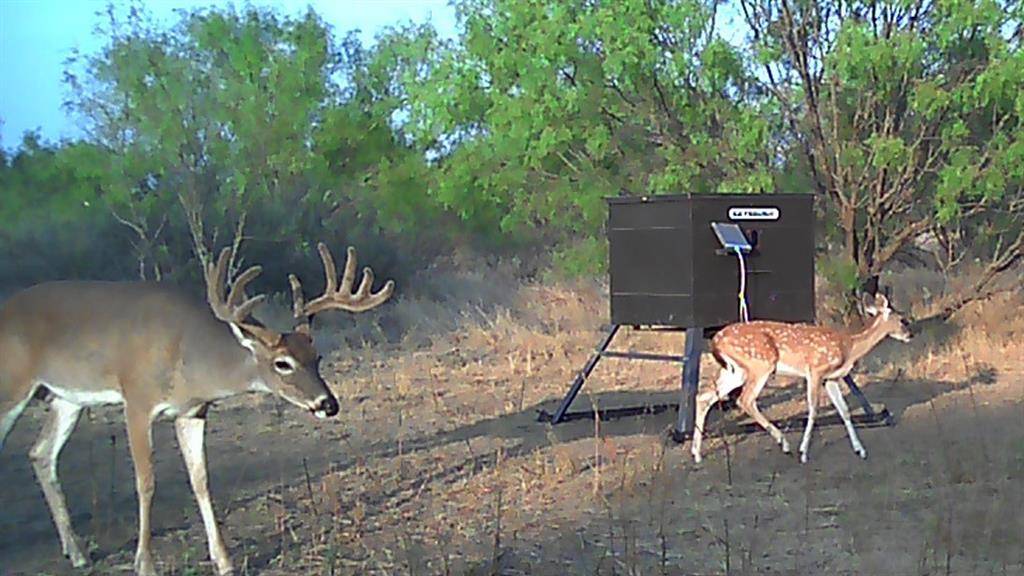 233 PR 920, Brady, TX 76872