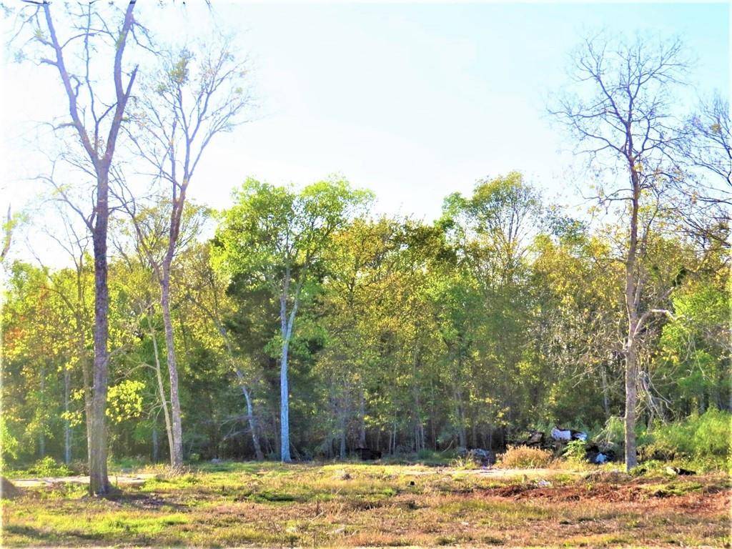 2777 N US Highway 36, Milano, TX 76556