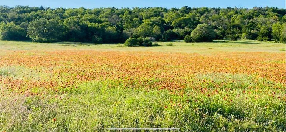 1471 Lutheran Church Ryatt Ranch lot 4 Blk 1 RD, Copperas Cove, TX 76522