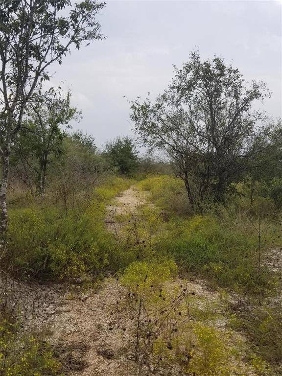 754 Williamson RD #A, Kyle, TX 78640