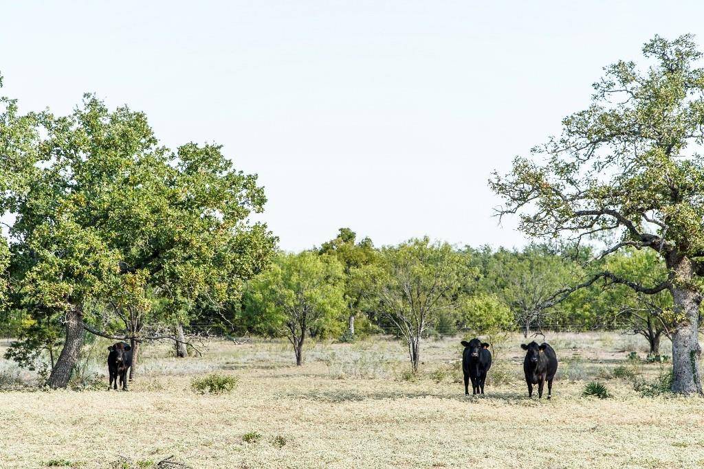 120 Craig RD, Buchanan Dam, TX 78609