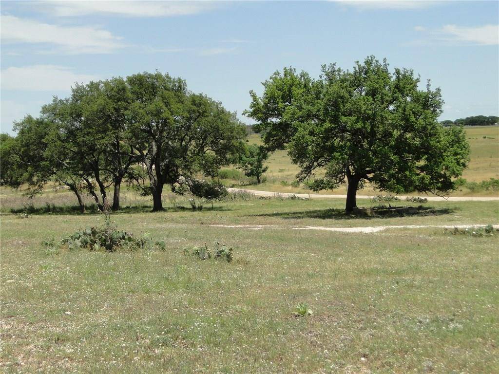 1087 Jung RD, Harper, TX 78631