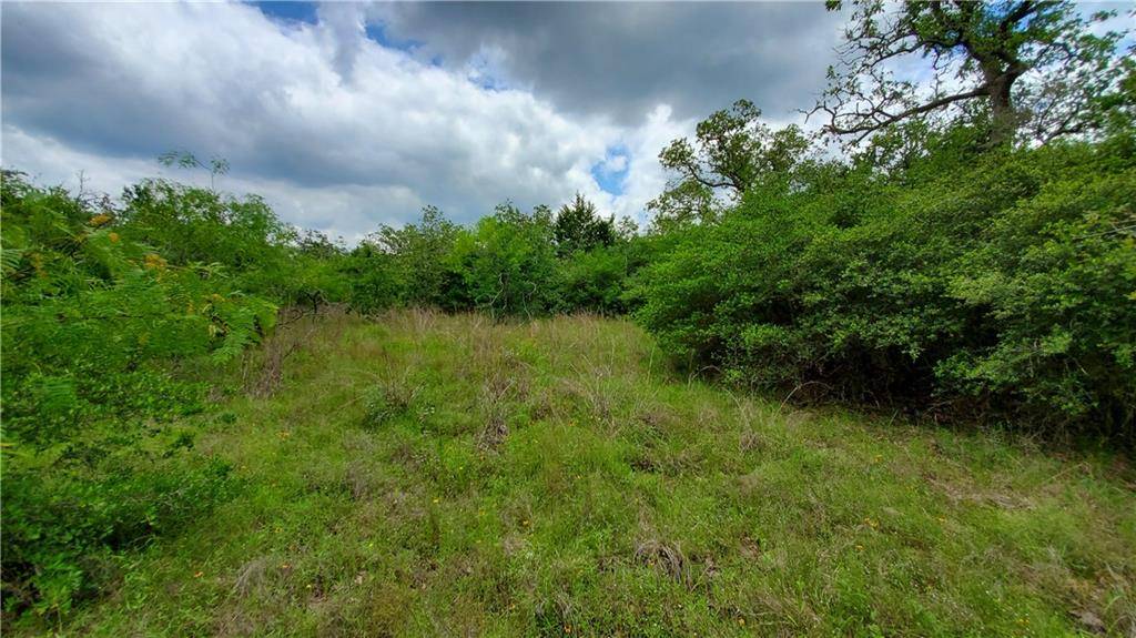 470 Live Oak CIR, Snook, TX 77878