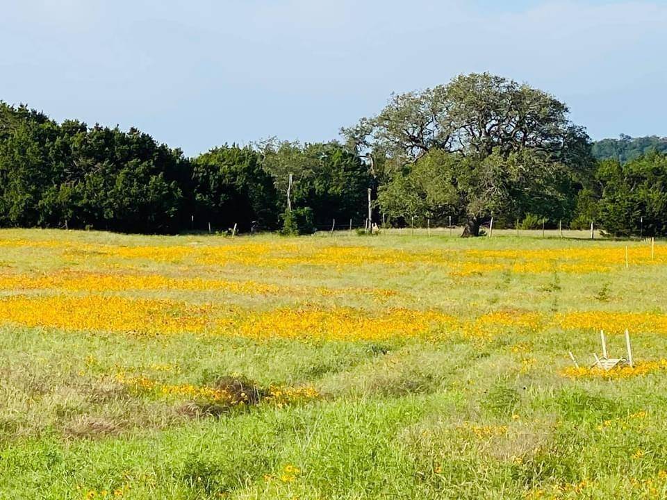 1471 Lutheran Church Rd Lot 12 Blk 1 RD, Copperas Cove, TX 76522
