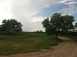 11331 Camino Real, Kyle, TX 78640