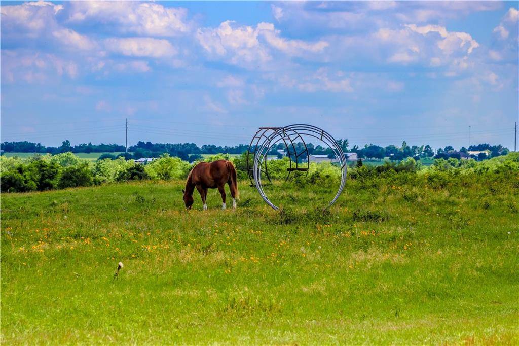 9752 Harris Ranch LN, Sealy, TX 77474
