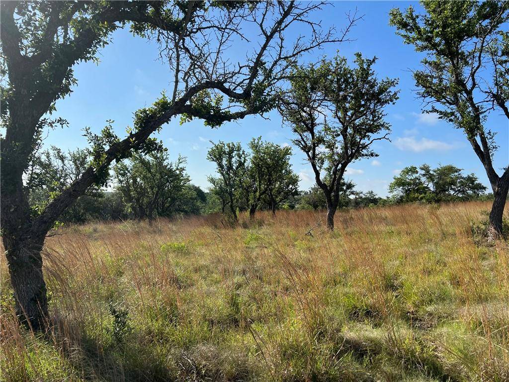 1676 Axis CIR, Fredericksburg, TX 78624
