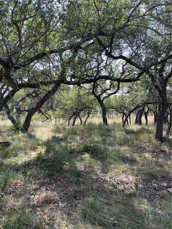 106 Billings FRST, Boerne, TX 78006