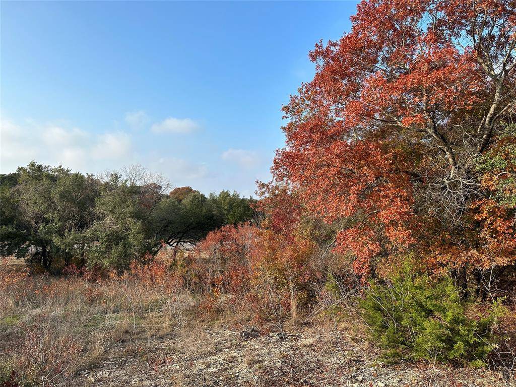 Lot 2 St Hwy 36, Gatesville, TX 76528