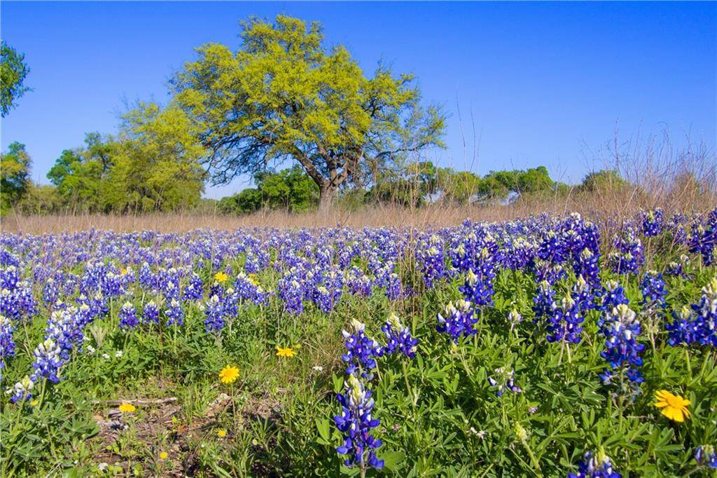 Ranch #13 Liberty Ranch RD, Buda, TX 78610