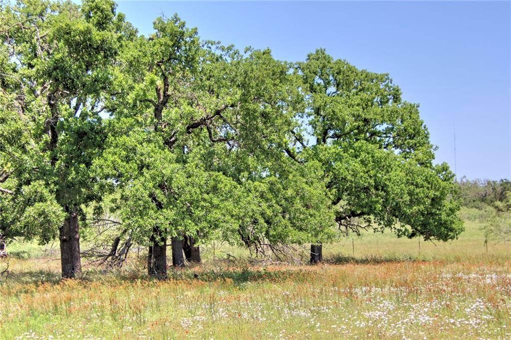 Tract 2 FM 1323, Willow City, TX 78675